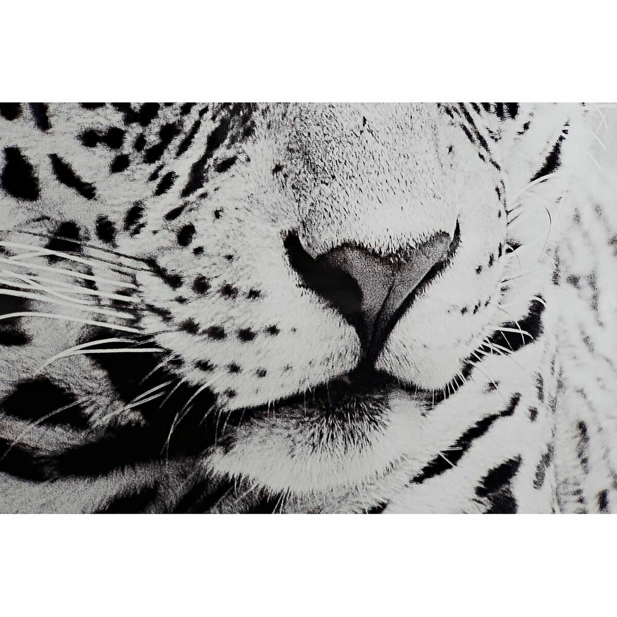 V12H487BF519285E1B47E3652DE489BBAB7DR6371992P3