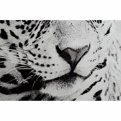 V12H487BF519285E1B47E3652DE489BBAB7DR6371992P3